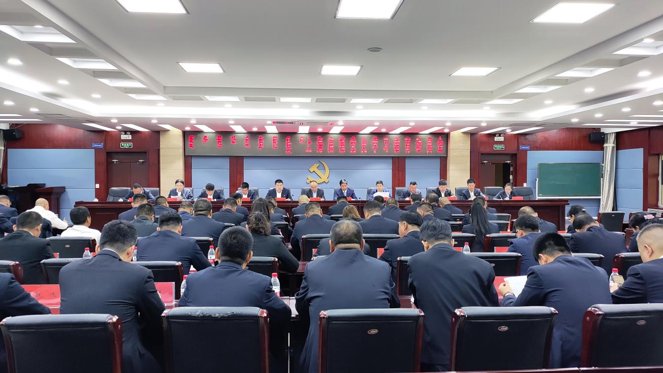 上海庙镇党史学习教育动员会